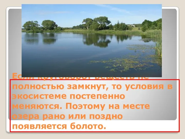 Если круговорот веществ не полностью замкнут, то условия в экосистеме постепенно