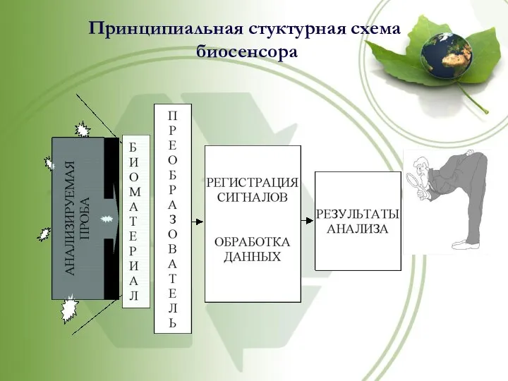 Принципиальная стуктурная схема биосенсора