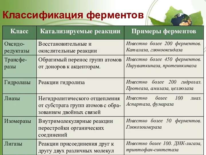 Классификация ферментов