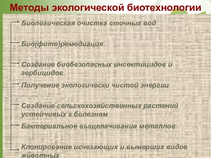 Лавряшина М.Б. КемГУ 2005 Методы экологической биотехнологии