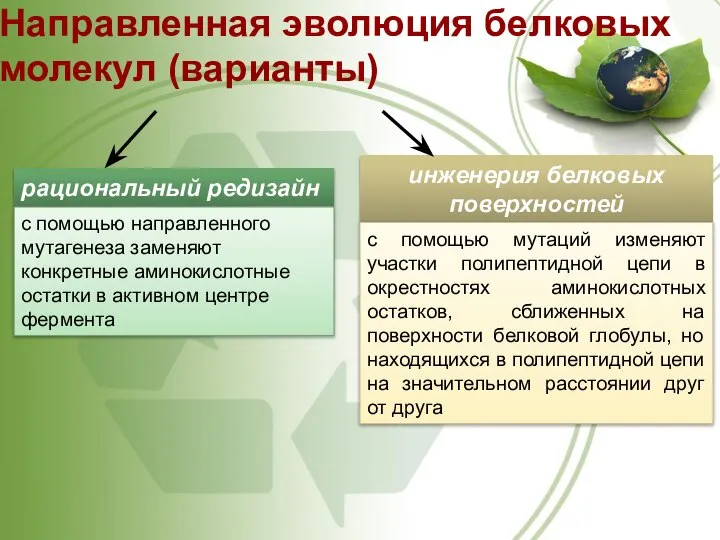 Направленная эволюция белковых молекул (варианты) рациональный редизайн с помощью направленного мутагенеза