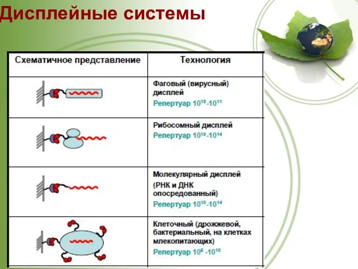 Дисплейные системы