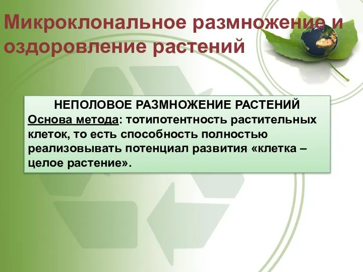 Микроклональное размножение и оздоровление растений НЕПОЛОВОЕ РАЗМНОЖЕНИЕ РАСТЕНИЙ Основа метода: тотипотентность