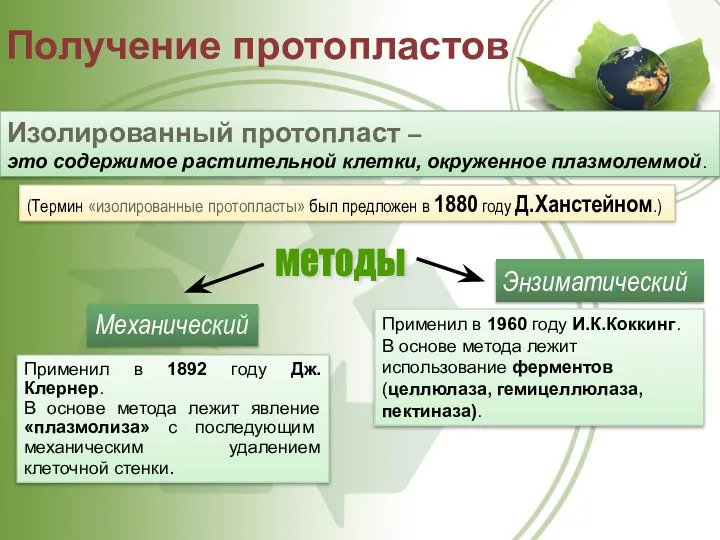 Получение протопластов методы Изолированный протопласт – это содержимое растительной клетки, окруженное