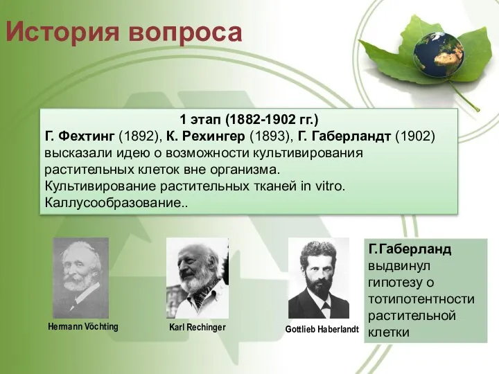 Hermann Vöchting Karl Rechinger Gottlieb Haberlandt Г.Габерланд выдвинул гипотезу о тотипотентности