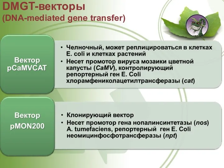 DMGT-векторы (DNA-mediated gene transfer)