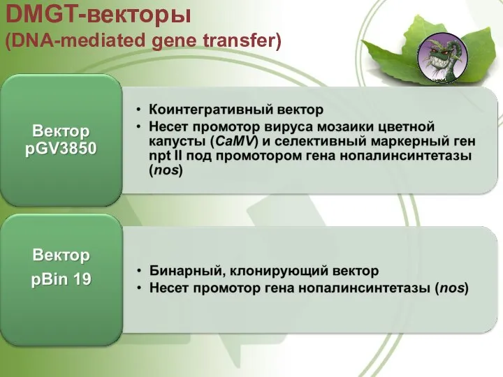 DMGT-векторы (DNA-mediated gene transfer)