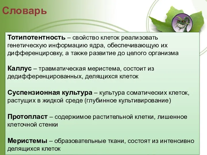 Словарь Тотипотентность – свойство клеток реализовать генетическую информацию ядра, обеспечивающую их