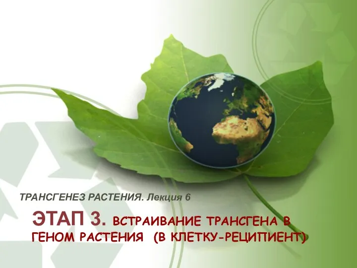 ЭТАП 3. ВСТРАИВАНИЕ ТРАНСГЕНА В ГЕНОМ РАСТЕНИЯ (В КЛЕТКУ-РЕЦИПИЕНТ) ТРАНСГЕНЕЗ РАСТЕНИЯ. Лекция 6