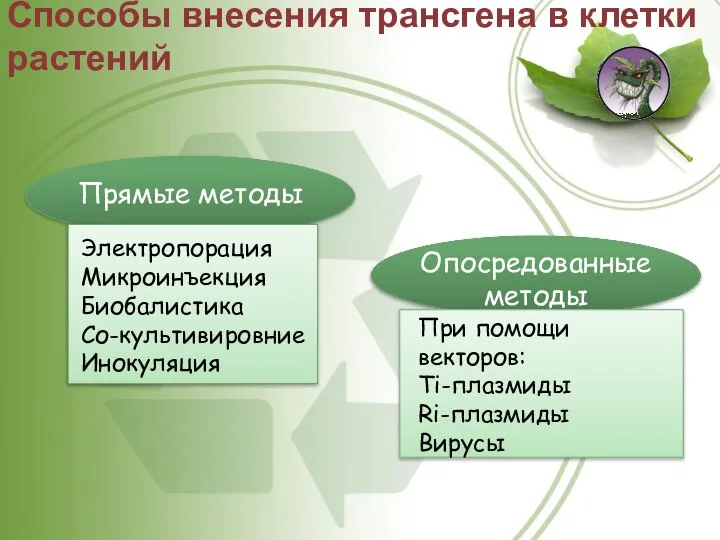 Способы внесения трансгена в клетки растений Прямые методы Опосредованные методы Электропорация