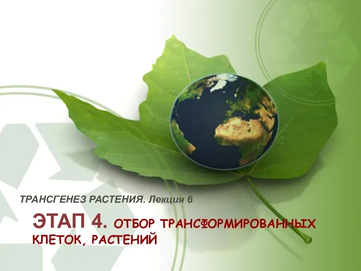 ЭТАП 4. ОТБОР ТРАНСФОРМИРОВАННЫХ КЛЕТОК, РАСТЕНИЙ ТРАНСГЕНЕЗ РАСТЕНИЯ. Лекция 6