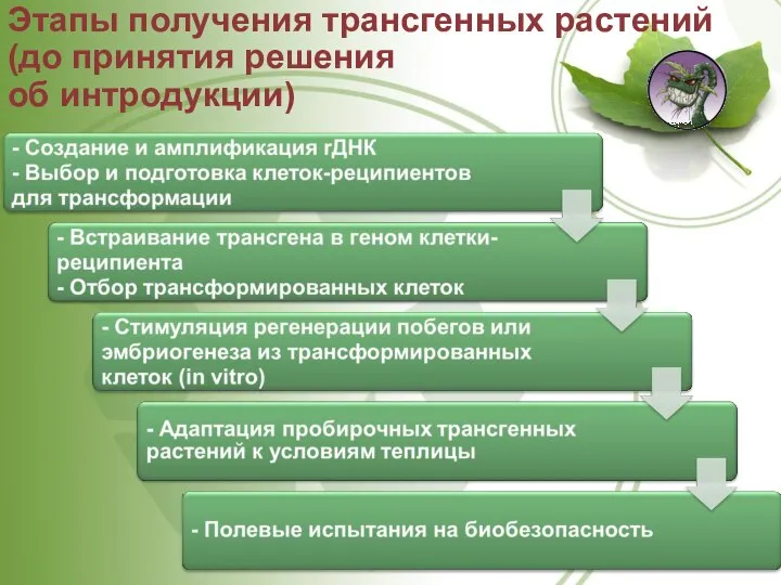 Этапы получения трансгенных растений (до принятия решения об интродукции)