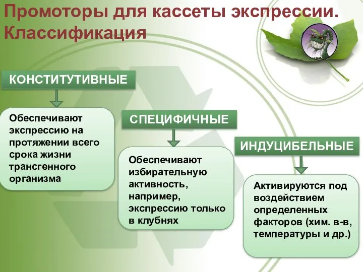 Промоторы для кассеты экспрессии. Классификация КОНСТИТУТИВНЫЕ СПЕЦИФИЧНЫЕ Обеспечивают экспрессию на протяжении