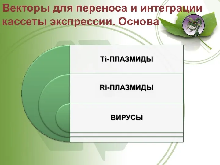 Векторы для переноса и интеграции кассеты экспрессии. Основа