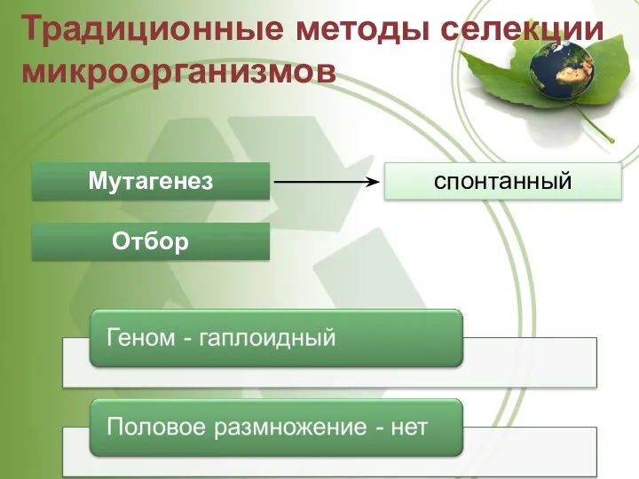 Традиционные методы селекции микроорганизмов Мутагенез Отбор спонтанный