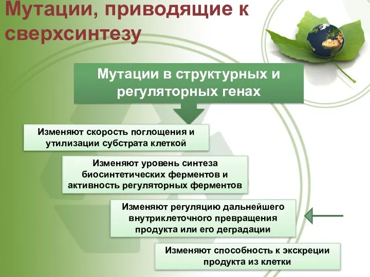 Мутации, приводящие к сверхсинтезу Изменяют скорость поглощения и утилизации субстрата клеткой