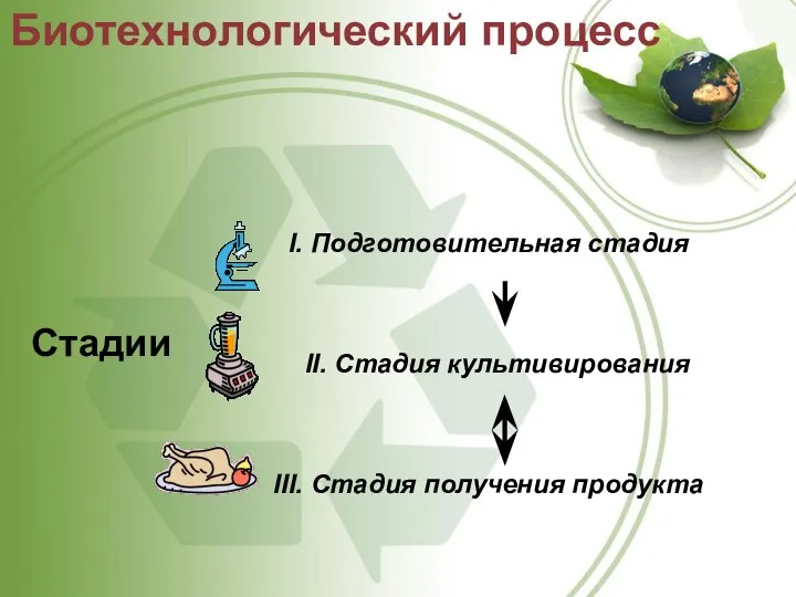 Стадии Биотехнологический процесс