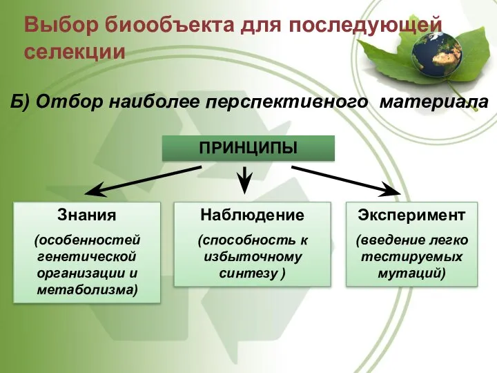 Выбор биообъекта для последующей селекции Б) Отбор наиболее перспективного материала ПРИНЦИПЫ