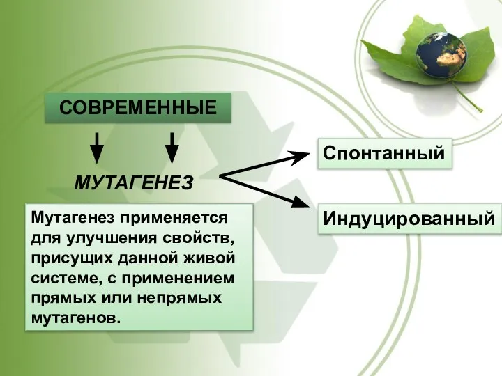 СОВРЕМЕННЫЕ Мутагенез применяется для улучшения свойств, присущих данной живой системе, с