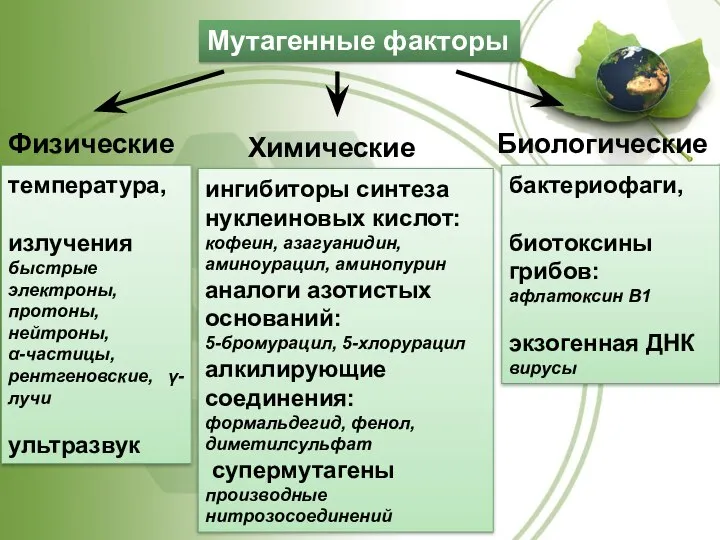 Физические Химические Биологические температура, излучения быстрые электроны, протоны, нейтроны, α-частицы, рентгеновские,