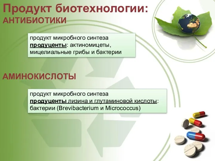 Продукт биотехнологии: АНТИБИОТИКИ продукт микробного синтеза продуценты: актиномицеты, мицелиальные грибы и