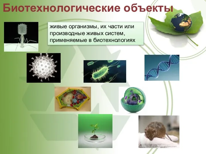 Биотехнологические объекты живые организмы, их части или производные живых систем, применяемые в биотехнологиях