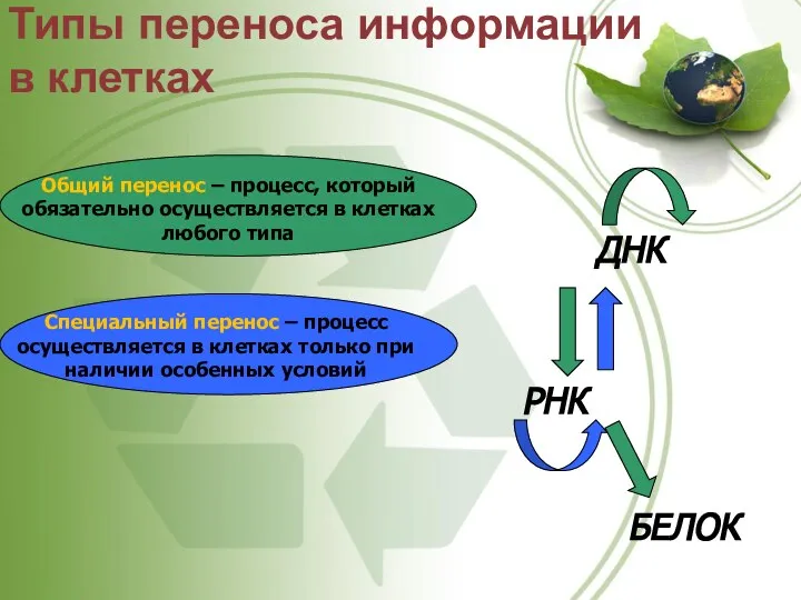 Типы переноса информации в клетках Общий перенос – процесс, который обязательно