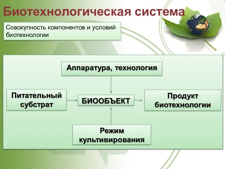 Биотехнологическая система Совокупность компонентов и условий биотехнологии