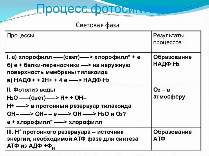 Процесс фотосинтеза Световая фаза