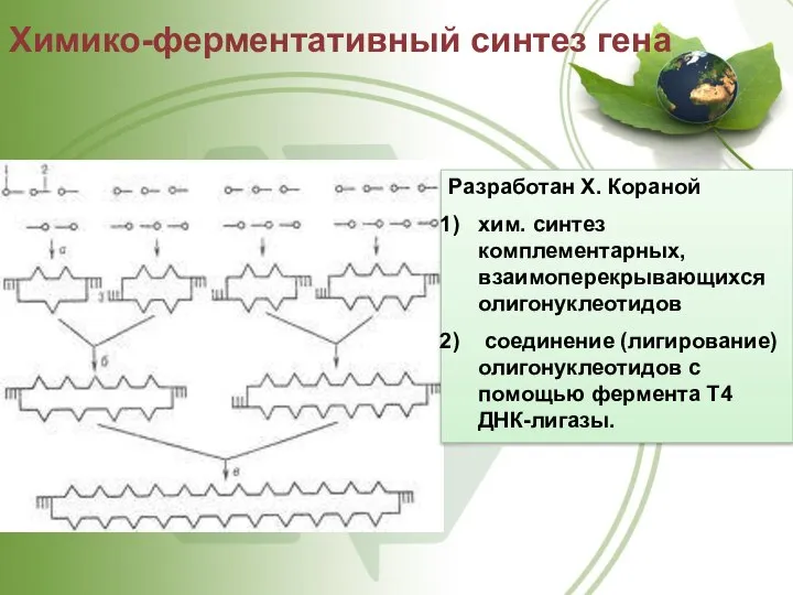Химико-ферментативный синтез гена Разработан X. Кораной хим. синтез комплементарных, взаимоперекрывающихся олигонуклеотидов