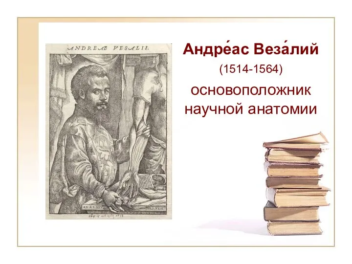 Андре́ас Веза́лий (1514-1564) основоположник научной анатомии