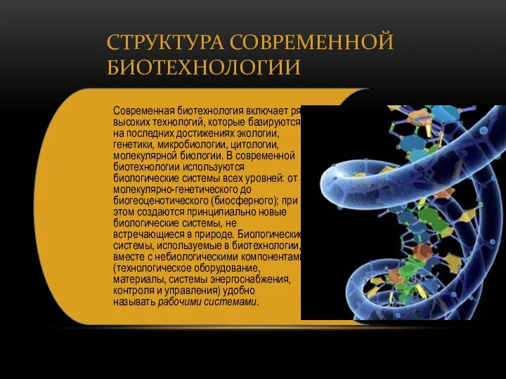 Структура современной биотехнологии Современная биотехнология включает ряд высоких технологий, которые базируются