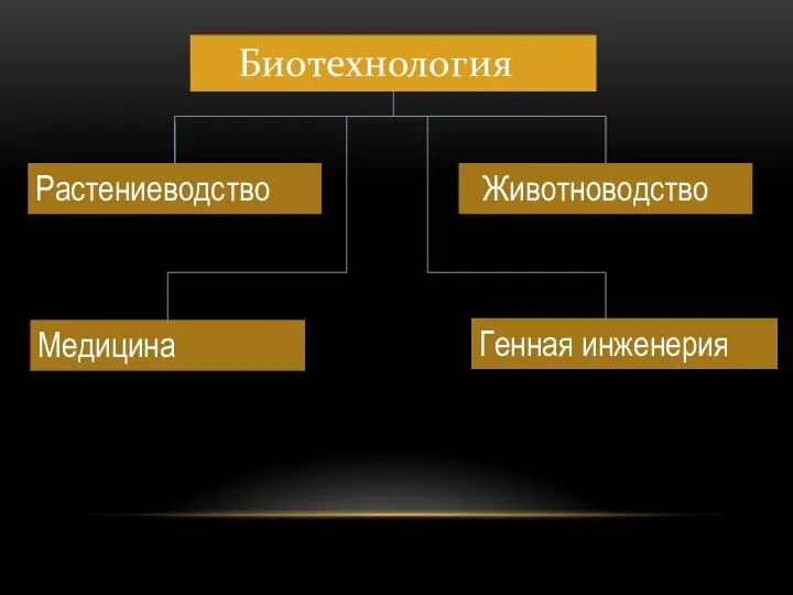 Биотехнология Растениеводство Животноводство Медицина Генная инженерия