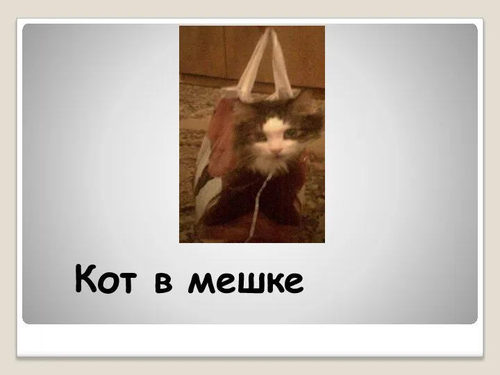 Кот в мешке