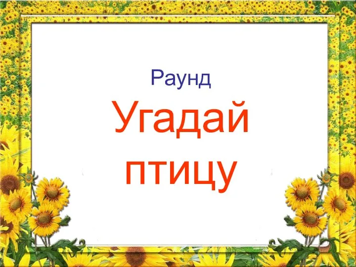 Раунд Угадай птицу