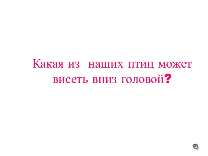 Какая из наших птиц может висеть вниз головой?