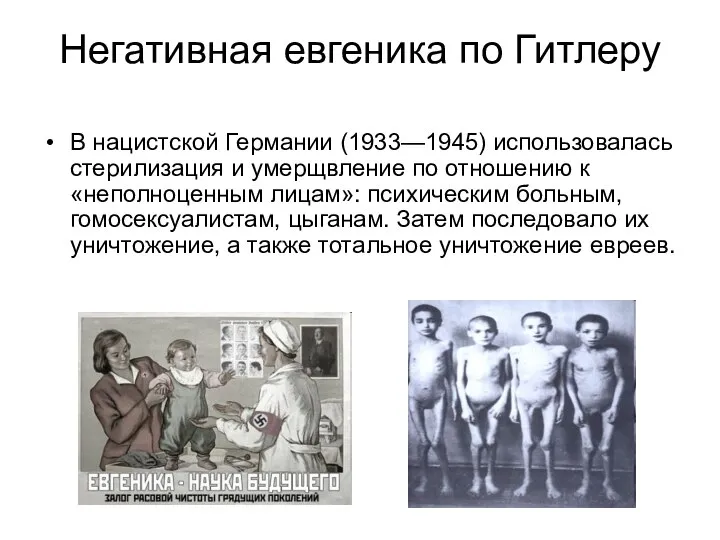 Негативная евгеника по Гитлеру В нацистской Германии (1933—1945) использовалась стерилизация и