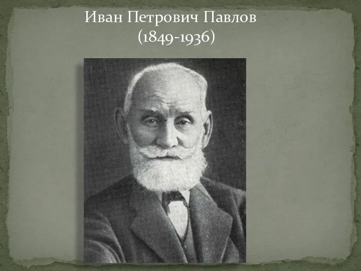 Иван Петрович Павлов (1849-1936)