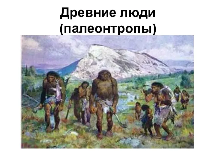 Древние люди(палеонтропы)