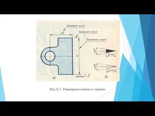 Рис.5.1. Размерные линии и стрелки