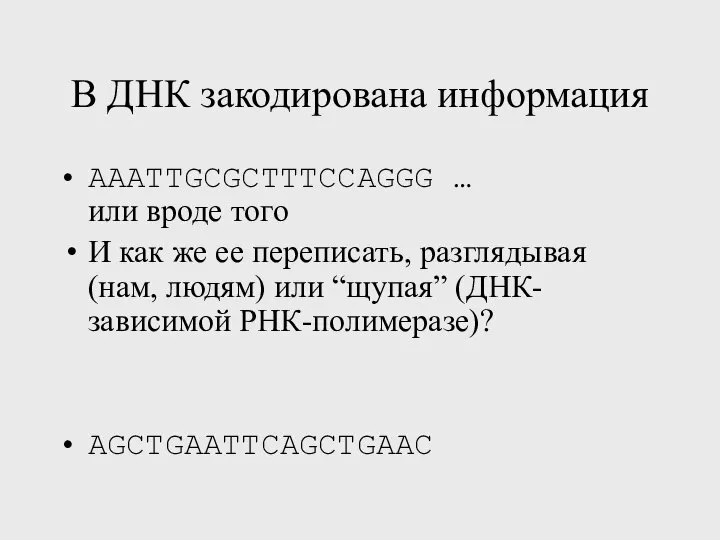 В ДНК закодирована информация AAATTGCGCTTTCCAGGG … или вроде того И как