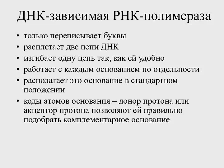 ДНК-зависимая РНК-полимераза только переписывает буквы расплетает две цепи ДНК изгибает одну