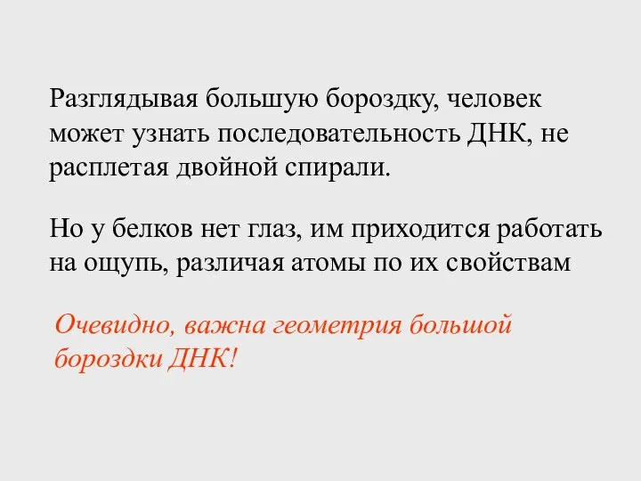 Разглядывая большую бороздку, человек может узнать последовательность ДНК, не расплетая двойной