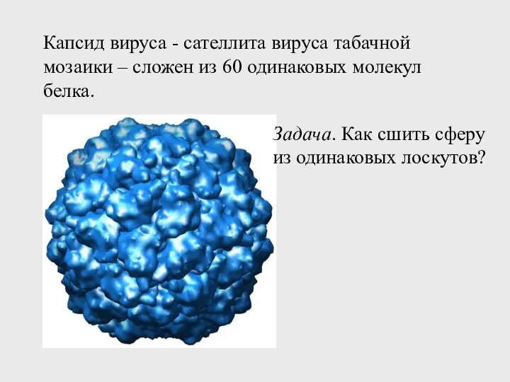 Капсид вируса - сателлита вируса табачной мозаики – сложен из 60