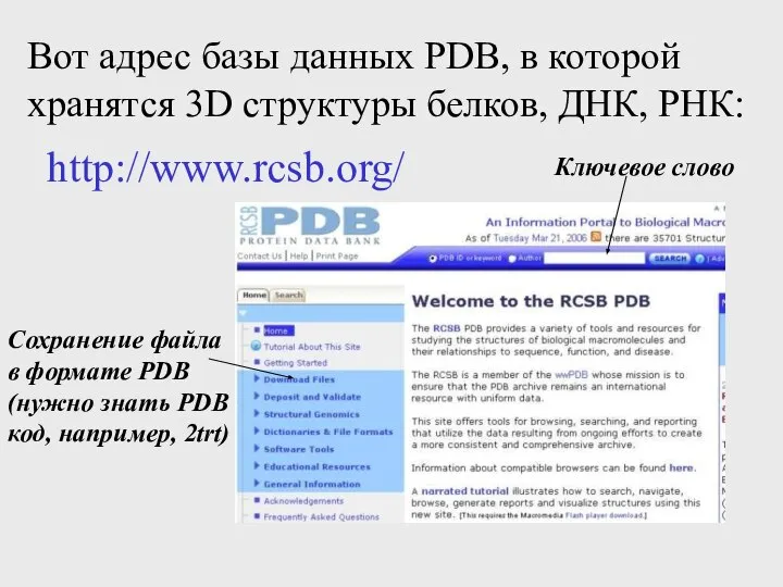 Вот адрес базы данных PDB, в которой хранятся 3D структуры белков,