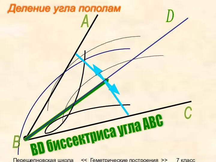 Перещепновская школа > 7 класс А В С D BD биссектриса угла АВС Деление угла пополам