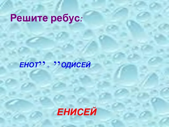 Решите ребус: ЕНОТ,, + ,,ОДИСЕЙ ЕНИСЕЙ