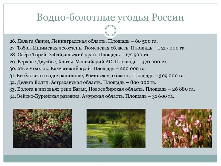 Водно-болотные угодья России 26. Дельта Свири, Ленинградская область. Площадь – 60