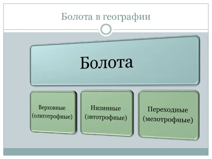 Болота в географии