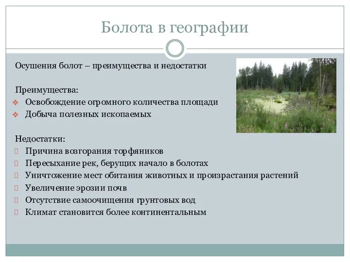 Болота в географии Осушения болот – преимущества и недостатки Преимущества: Освобождение